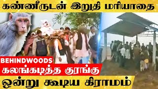 'குரங்கின் மரணத்திற்கு திரண்ட 1500 பேர்'.ஒட்டுமொத்த கிராமமே செய்த இறுதி மரியாதை! நெகிழ்ச்சி சம்பவம்