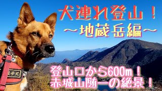 【犬連れ登山！】地蔵岳編。登山口から600m！赤城山随一の絶景！