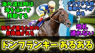 【競馬】「クソデカドンフランキーにありがちなことを挙げてけ!!」に対する競馬民の反応集【反応集】【ドンフランキー】【根岸ステークス 2025】