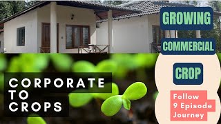 Corporate to Crops I Farming Without Experience. 9 Episode Journey [English] #farming #agriculture