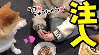 柴犬のご飯に女子高生の娘がラブ注入♡