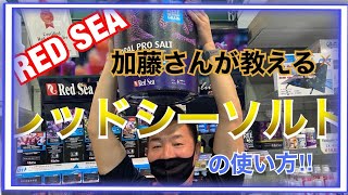 【バルーン×Red Sea】レッドシーソルトの使い方。海水水槽飼育者必見‼︎