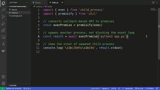 Run a Python Script from Node.js #Shorts