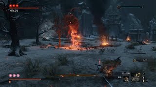 Sekiro: Shadows Die Twice_隻狼 修羅連戰