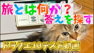 【DQX】ドラクエ10の絶景を探す旅！猫達の大冒険【ドラクエ10】