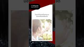 อุตุฯ เตือนพายุฤดูร้อนถล่ม 19-20 มี.ค. #อินโฟเควสท์ #infoquestnews #shorts #short #shortvideo