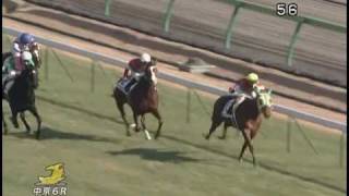 [レースリプレイ] 081214 3中京2 06R 新馬