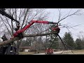 Bluestone Tree, knuckle boom grapple saw truck