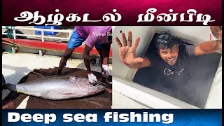 ஆழ்கடல் மீன்பிடி | Deep sea fishing #fishing #fish #shorts #valvaisulax #trending #jaffna