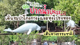 ทุ่งโปร่งทอง ป่าโกงกาง เส้นทางธรรมชาติ | Sunshine _Story789