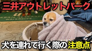 三井アウトレットパークに犬を連れて行く際の注意点