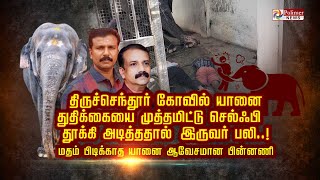 திருச்செந்தூர் கோவில் யானை துதிக்கையை முத்தமிட்டு செல்ஃபி.. தூக்கி அடித்ததால் இருவர் பலி..!