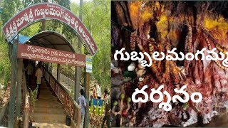 గుబ్బలమంగమ్మ తల్లి దర్శనం #gubbalamangammatemple #buttaigudem #aswaraopeta  #ap #waterfalls