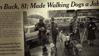 Obit (2016) - Official Trailer (HD)