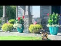 container garden ideas part 2 — you re plantings are incredible