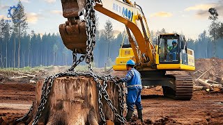 Most Big Chainsaw Cutting Tree Machines #54 | Monster Stump Removal Excavator