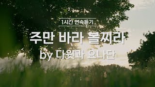 [1시간 반복듣기] 주만 바라볼찌라 by 다윗과 요나단