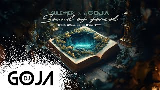 Suleymer x Dj Goja - Sound Of Forest (Official Single)