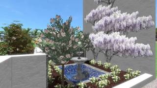 Gold Coast Highway, Mermaid Beach - Courtyard Garden