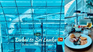 Dubai to Colombo | Fly with Emirates | EK 648 #dubaiairport #aesthetic #airportlounge