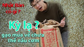 Kỳ lạ gạo mua về chưa thể nấu cơm | Japan rice  | Khám Phá Nhật Bản