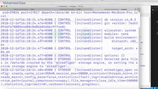 8 LoopBack JS MongoDB Database