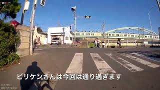 江戸川サイクリング