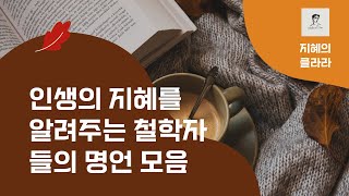 인생의 지혜를 담은 철학자들의 명언 100선 | 당신의 삶을 바꿀 한 줄의 통찰 #철학 #좋은글 #명언