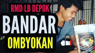 Rmd Lb Depok Anak Muda Sukses Jual Ombyokan