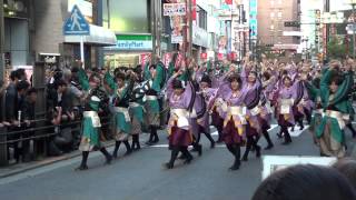 東京よさこい2013 ～ 早稲田大学よさこいチーム東京花火