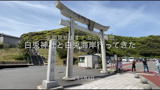 【鳥取で最高旅】白兎神社と白兎海岸をぐるっと散策！これを見れば全部わかります(@_@)