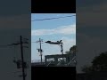 航空祭かよ！！　超低空でエグすぎる捻りを見せる米軍f 35b automobile military 戦闘機 aviation 岩国基地 shorts