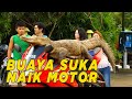 Biasanya kalo Buaya tuh naik motor | SKETSA