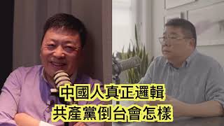 中國人真正邏輯 共產黨倒台會怎樣 #王劍 #樂樂法利 #王志安 #百靈果