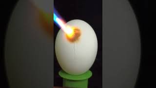 Fire on the Egg Experiment #fire #burn #shortvideo #explore #explore #egg #shorts @VTKnowledge