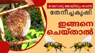 തേനീച്ച കൃഷിയെക്കുറിച്ച് A to Z പഠിക്കാം ഈ വീഡിയോ കണ്ടാൽ | Bee Farming | തേനീച്ച ബിസ്നസിൽ വൻ ലാദം ..