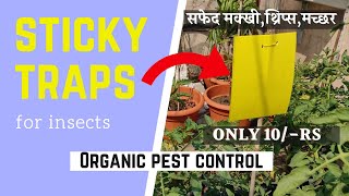 Sticky Traps For Insects | Yellow Sticky Traps In Hindi | गार्डन में स्टिकी ट्रैप लगाने के फायदे