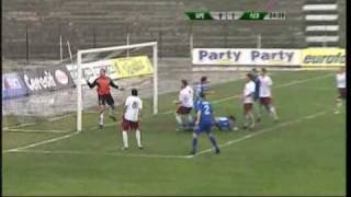 Bulgarian Cup 2nd round: Brestnik - Levski (0:2)