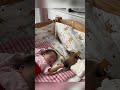 眠っている赤ちゃんの匂いを嗅ごうとする犬の優しい試み