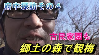 [府中市探訪その4][FHD]府中市郷土の森博物館で観梅、古民家園もある！