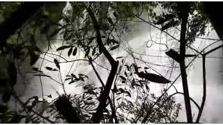 Savatkada waterfall Near Ratnagiri Rajapur oni