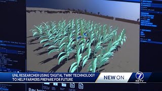 Digital Twin Crops