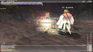 {{FFXI}} Tojil vs Entity