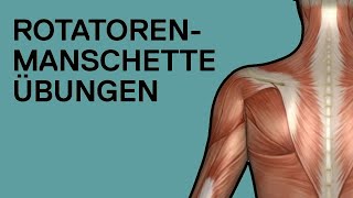 ROTATORENMANSCHETTE ÜBUNGEN ohne Geräte (auch gegen Schulterschmerzen)