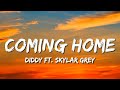 Diddy - Dirty Money - Coming Home (Lyrics) ft. Skylar Grey