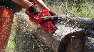 Shindaiwa 600SX chainsaw in slow motion