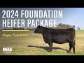 2024 Angus Foundation Heifer Package | Yon Sarah K1233