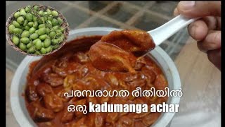 പരമ്പരാഗത തനിമയിൽ കടുമാങ്ങാ അച്ചാർ //Traditional kadunanga pickle //sahlas world