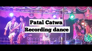 Patal catwa santhali song recoding dance 2022