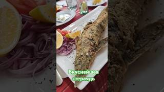 Очень вкусная рыба